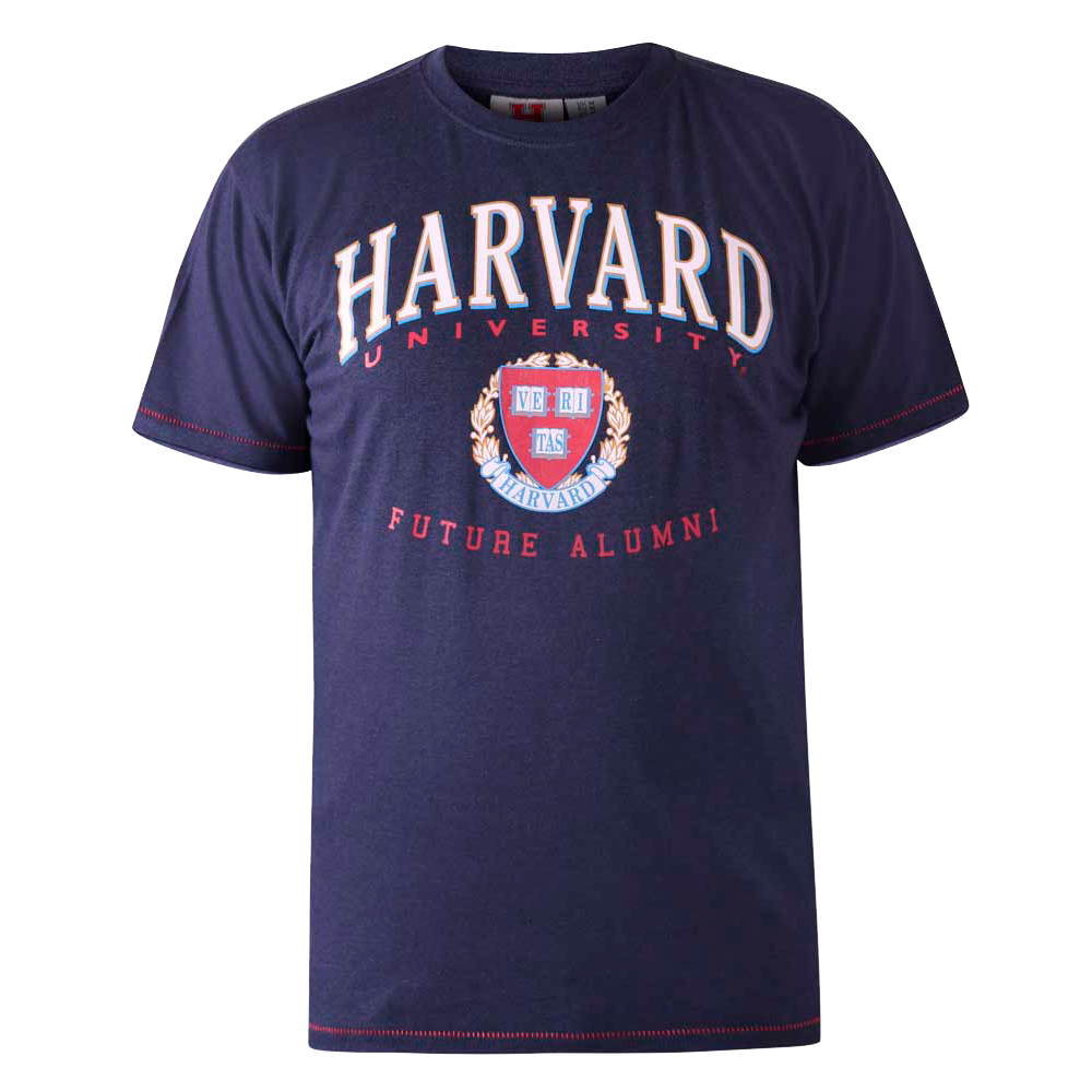 D555 Stapleford Herre T-shirt Plus Size - Navy Marl - 4XL